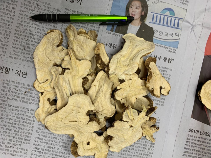 562575074_c264QPp8_KakaoTalk_20190102_215026169.jpg